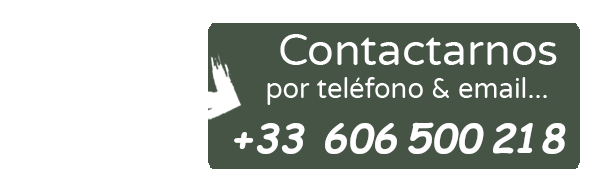 contact chalets de fiolles