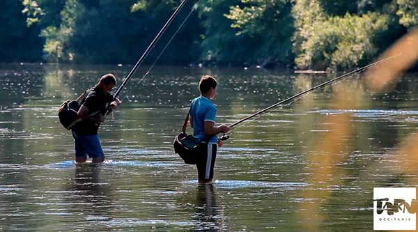 peche riviere le tarn