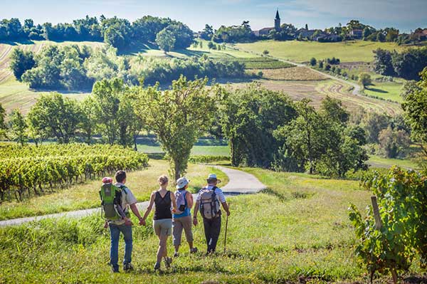 Balades et randonnées à proximité du camping et autour de Gaillac